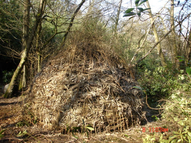 Bamboo Shelter (2)